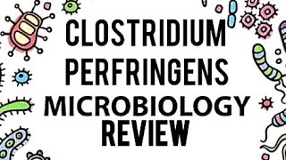 CLOSTRIDIUM PERFRINGENS GAS GANGRENEFOOD POISONINGLEVINSION MICROBIOLOGY REVIEW DETAILED [upl. by Phenica]