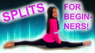 How to Learn SPLITS For BEGINNERS [upl. by Gnep835]