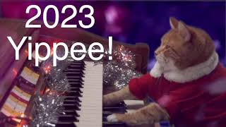 Keyboard Cat 2023 Christmas [upl. by Elaynad]