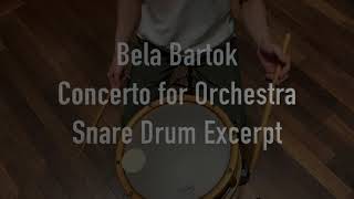 SnareDrum Excerpt Bela Bartok quotConcerto for Orchestra” Mov2 [upl. by Nawoj]