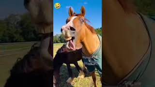 Yah yah 😜funny😂🤣 comedy video 😜🤣🤣 md Bahid rana 👈 Shortvideo [upl. by Cavanagh]