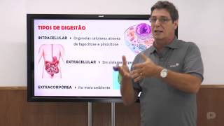 Biologia  Sistema Digestório  Nutrição [upl. by Ramalahs]