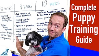 Your Complete Puppy Training Schedule By Age [upl. by Ardnahsal]