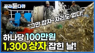 운수대통 한 상자에 100만원을 호가하는 국민 생선을 1300 박스나 잡았다│너무 많이 잡혀서 잠도 밥도 다 포기한 선원들│국민생선 참조기│극한직업│골라듄다큐 [upl. by Amalbergas]