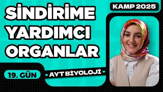 19 Sindirime Yardımcı Organlar  Sindirim Sistemi  11 Sınıf  AYT Biyoloji Kampı 19 Video [upl. by Senoj163]