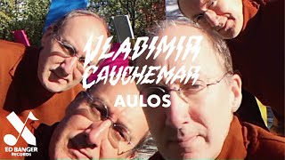 Vladimir Cauchemar  Aulos Official Music Video [upl. by Anaerda]