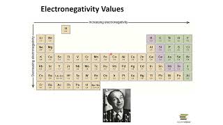 Lewis Dot Structures and Polarity [upl. by Honora76]