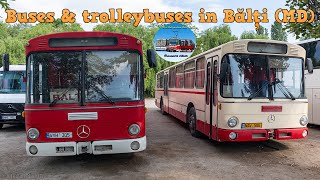 Buses amp Trolleybuses in Bălți 🇲🇩 2023 [upl. by Adnolor471]