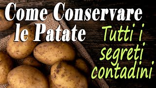 PATATE  I SEGRETI CONTADINI per CONSERVARE PERFETTAMENTE le PATATE del tuo ORTO [upl. by Orgalim656]