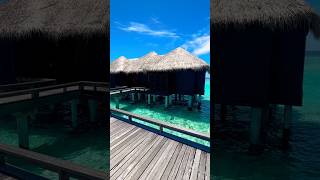 Wow what a view  Maldives water villa  water bungalow  Sheraton Maldivesshorts travel maldives [upl. by Meggie106]