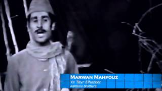 Marwan Mahfouz  Ya Tayr Elhazeen مروان محفوظ  يا طير الحزين [upl. by Hanforrd]