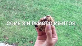 Galletas Veganas de Avena Fáciles y 5 ingredientes solamente [upl. by Redyr]