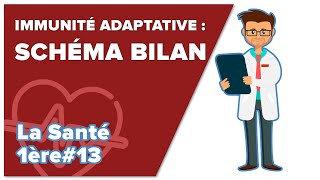 Immunité adaptative 6  Schéma Bilan SVT  SANTÉ 1ère spé 13  Mathrix [upl. by Roti]