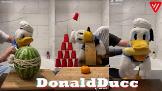 Funny DonaldDucc TikTok 2022  Best Donald Duck TikTok Compilation 2021  2022 [upl. by Anoy]