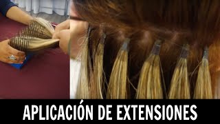 Aplicación de extensiones  Ana Mireles [upl. by Edualcnaej67]