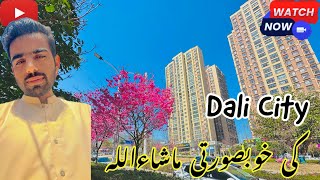 Beautiful Dali City Of China Vlog [upl. by Haidadej]