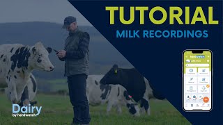 Tutorial View Milk Recordings [upl. by Haneeja355]