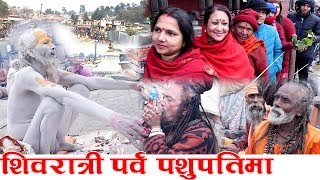 Shivratri  साधु नागाबाबा र शिवरात्री पर्व पशुपतिमा  Pashupatinath Temple Nepal  Lord Shiva [upl. by Noirod35]