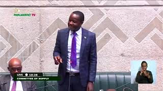 National Assembly of Zambia Live Stream [upl. by Hurwitz]