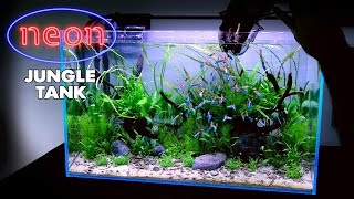 Aquascape Tutorial NEON TETRA Jungle Aquarium How To Non co2 Planted Tank Step by Step Guide [upl. by Ashley616]