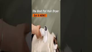 Quiet Pet Hair Dryer amp Brush Gentle Noisefree Grooming for Happy Pets [upl. by Nytram]