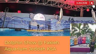 Dolphin Show  Fakieh Aquarium Jeddah KSA dolphin dolphinshow fakiehaquarium sealionshow ksa [upl. by Lunseth]