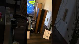 Zingali amp Pathos loudspeakers hifi loudspeaker bass hifisound audiophile hifiaudio [upl. by Tamarah784]