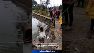 Using a basket to pull water  The workers do their job perfectly  machine shorts [upl. by Spratt]