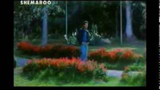 High Quality  Saat Samundar Paar Remix Amazing Dance by Desi Lady Gaon ki shakira [upl. by Aribold701]