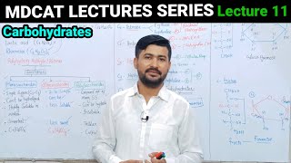 Carbohydrates  Classification of carbohydrates  Mdcat lectures series by irtisamsbiology [upl. by Massiw140]