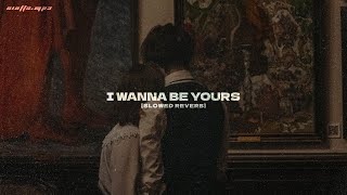 arctic monkeys  i wanna be yours slowed amp reverb [upl. by Selina311]