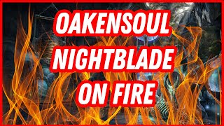 ESO PvP  Oakensoul Nightblade SLAPS in BGs  Battleground Chronicles [upl. by Irb]