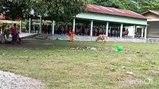 L P School Bhakatpara  Aundwi Fwra Class Suty Janai yao Aroz kmnai [upl. by Hiram270]