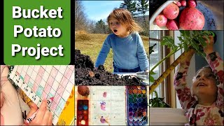 How To Grow Potatoes In A Bucket a Classroom and Homeschool Project Based Learning Experience [upl. by Swetlana]