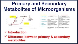 Primary and Secondary Metabolites of Microorganisms  Introduction  Differences between [upl. by Aseretairam]