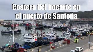 Costera del bocarte en Santoña [upl. by Swart]