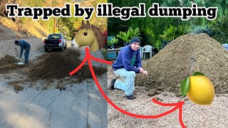 😳 ￼Gardeners Surprise YOU Wo’nt Believe Illegal Street Dumping gets New Home After 6 Hours of Work [upl. by Leclair]