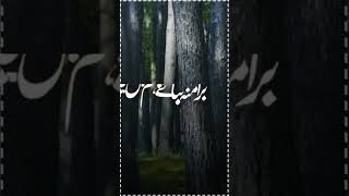 🛑نیو کلام🔥 حافظ عمر فاروق ڈنگراج اگرکوئی سن لے علی کا قصیدہ 💯viralshorts [upl. by Pejsach]