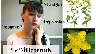 ❀Plante Médicinale3 Le Millepertuis Contre la Dépression [upl. by Nivahb]