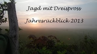 Jagd 2013  Jahresrückblick auf Drückjagd und mehr [upl. by Sitarski481]