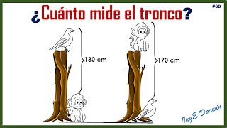 Reto de olimpiadas matemáticas pon a prueba tu razonamiento  Reto 68 [upl. by Klug]