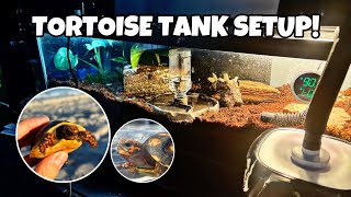 Setting Up My Red Footed Tortoise Tank [upl. by Yajiv137]