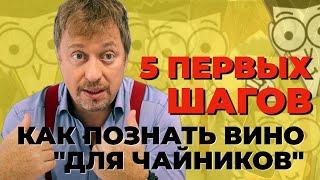 ВИНО ДЛЯ ЧАЙНИКОВ  5 первых шагов чтобы познать вино [upl. by Attenhoj]