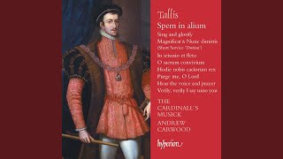 Tallis Spem in alium [upl. by Erv]