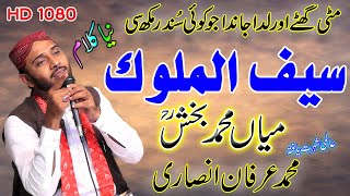 saif ul malook  kalam mian muhammad bakhsh  irfan ansari  سیف الملوک میاں محمد بخش  sufi poetry [upl. by Trainor992]