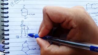 Synthesis of Prostaglandins PGE1 PGE2 PGF1alpha  PGF2alpha [upl. by Sella374]