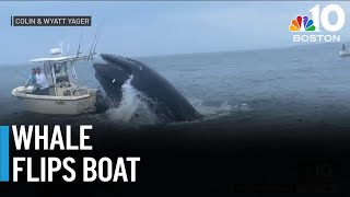 Whale slams into boat off coast of Portsmouth NH [upl. by Tallulah]