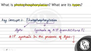 What is photophosphorylation What are its types [upl. by Zoba331]