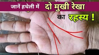 Forked life line palmistry हस्तरेखा [upl. by Martha]