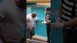 Tom Mime SeaWorld You have to see the end 🤣 seaworldmime seaworldorlando [upl. by Gearalt]